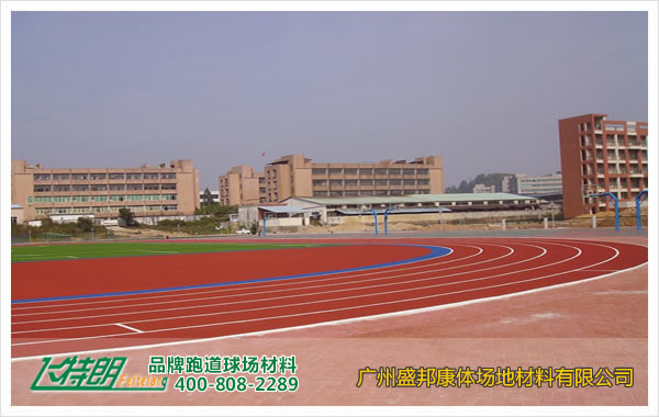 陕西塑胶跑道材料